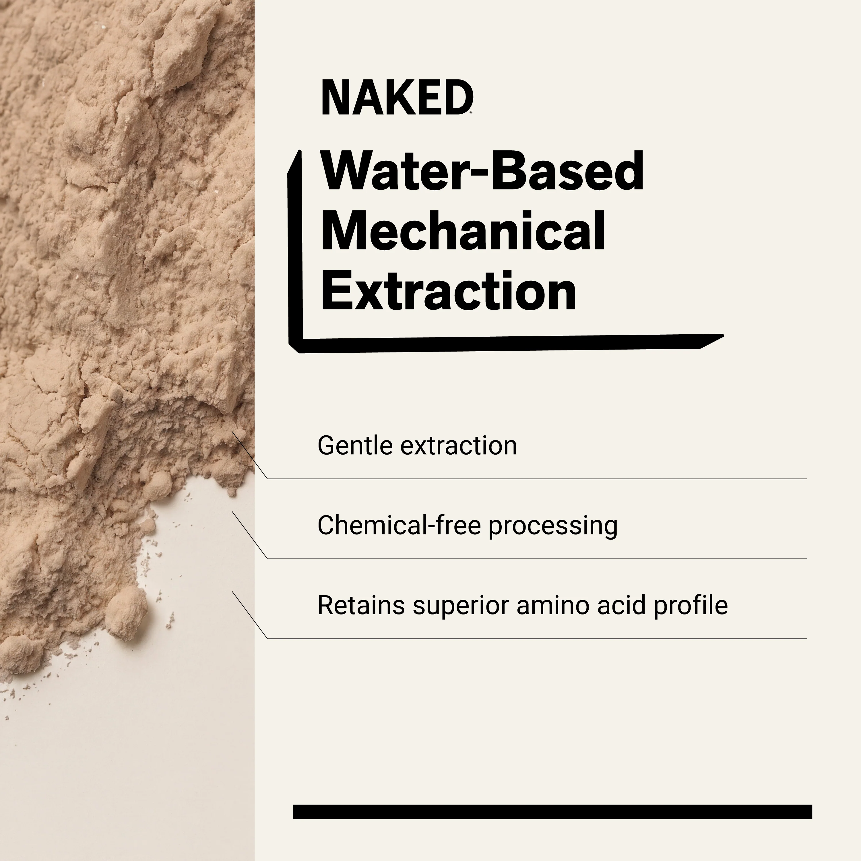 Chocolate Peanut Butter Pea Protein Powder | Naked Pea - 5LB - Image 4