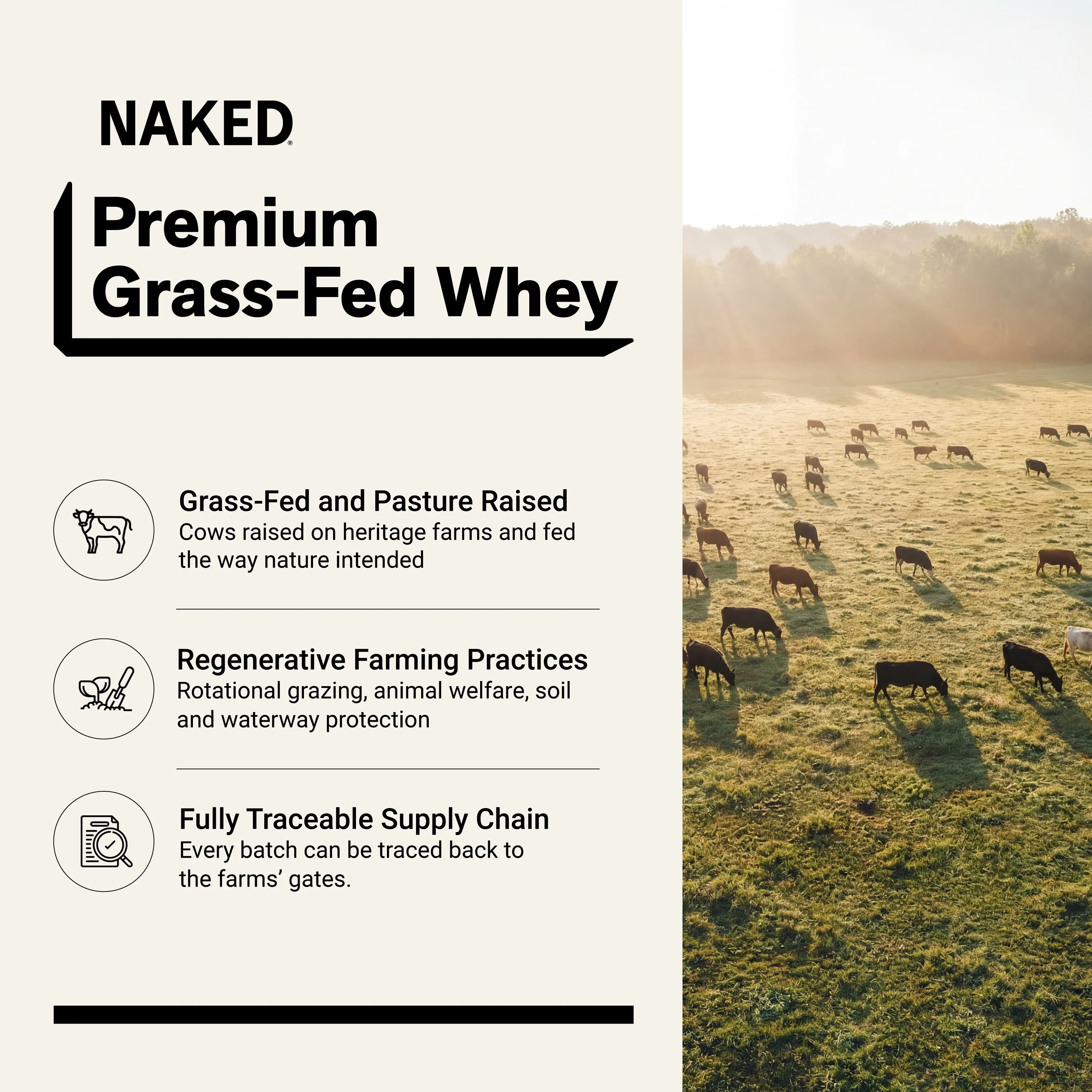 Chocolate Peanut Butter Whey Protein Powder 2LB | Naked Whey - 2LB - Image 2