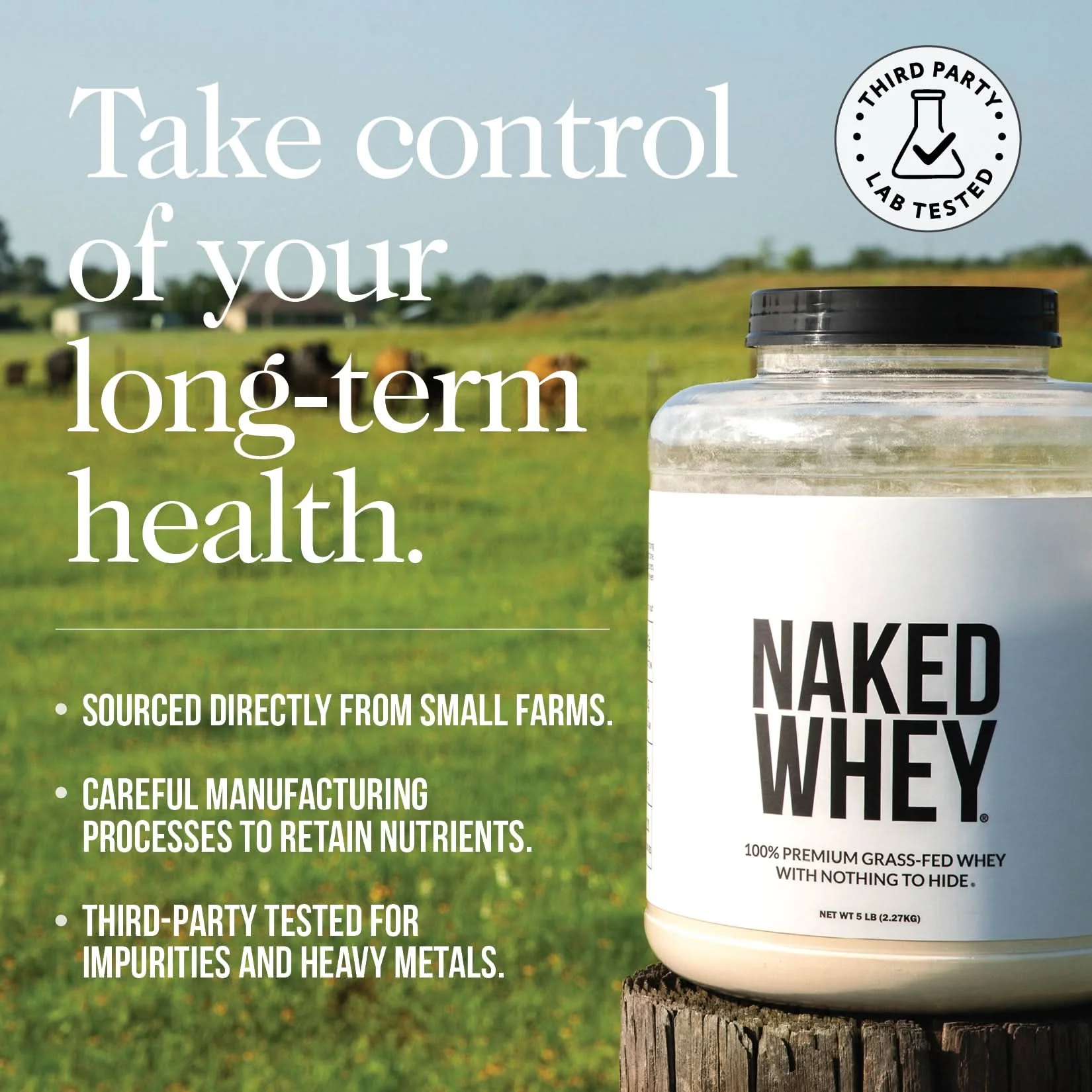 Chocolate Whey Protein Powder | Naked Chocolate Whey - 450g - Image 6