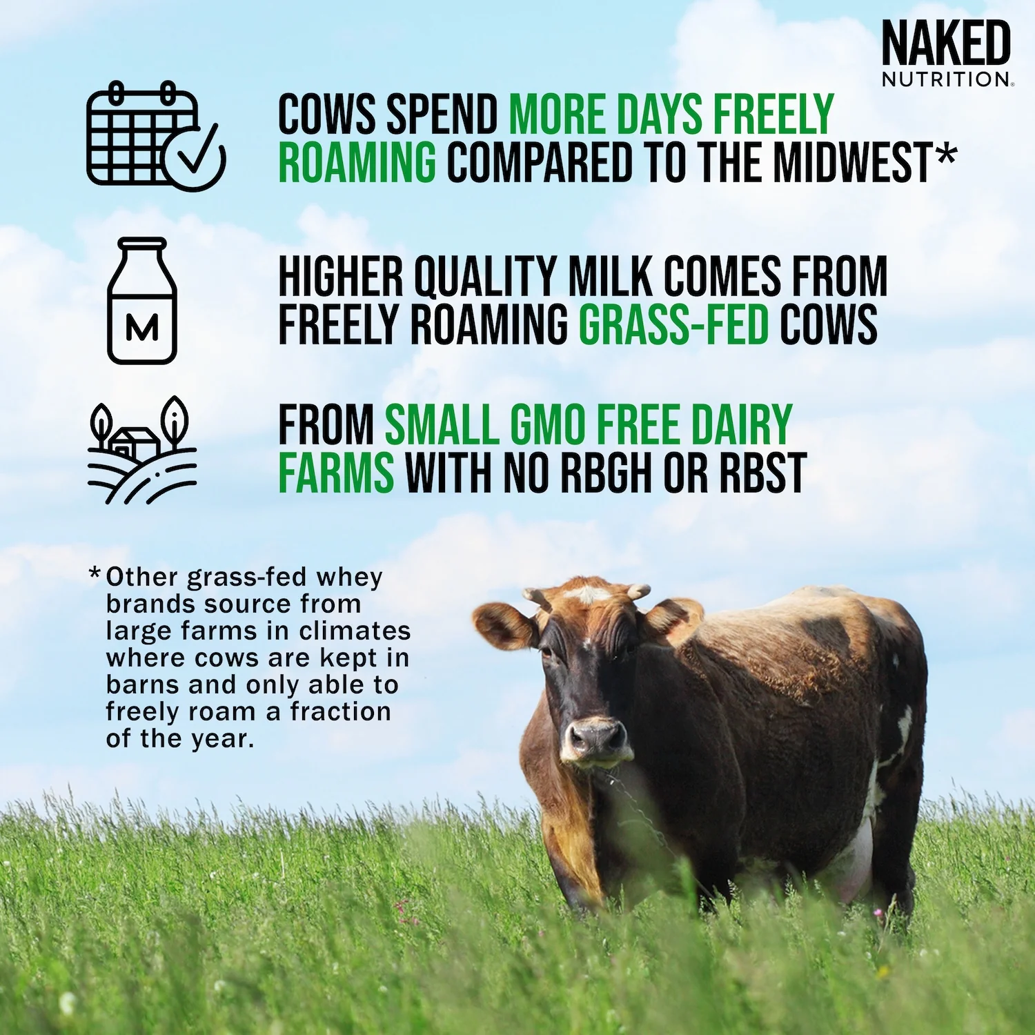 Grass Fed Whey Protein Powder Sample Pack - Image 2
