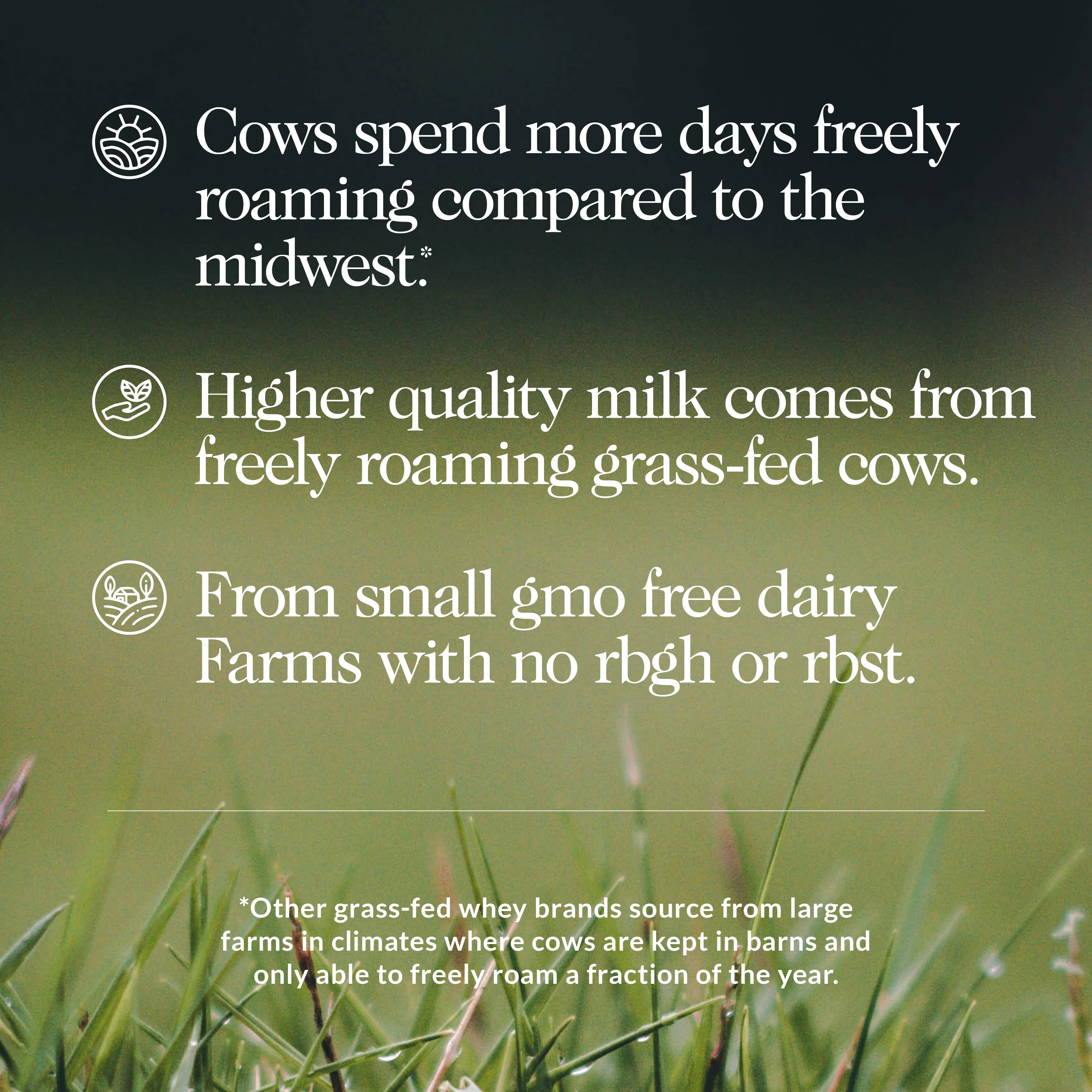 Vanilla Mass Gainer Protein Supplement | Naked Vanilla Mass - 8LB - Image 5